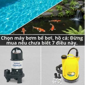 máy bơm bể cá
