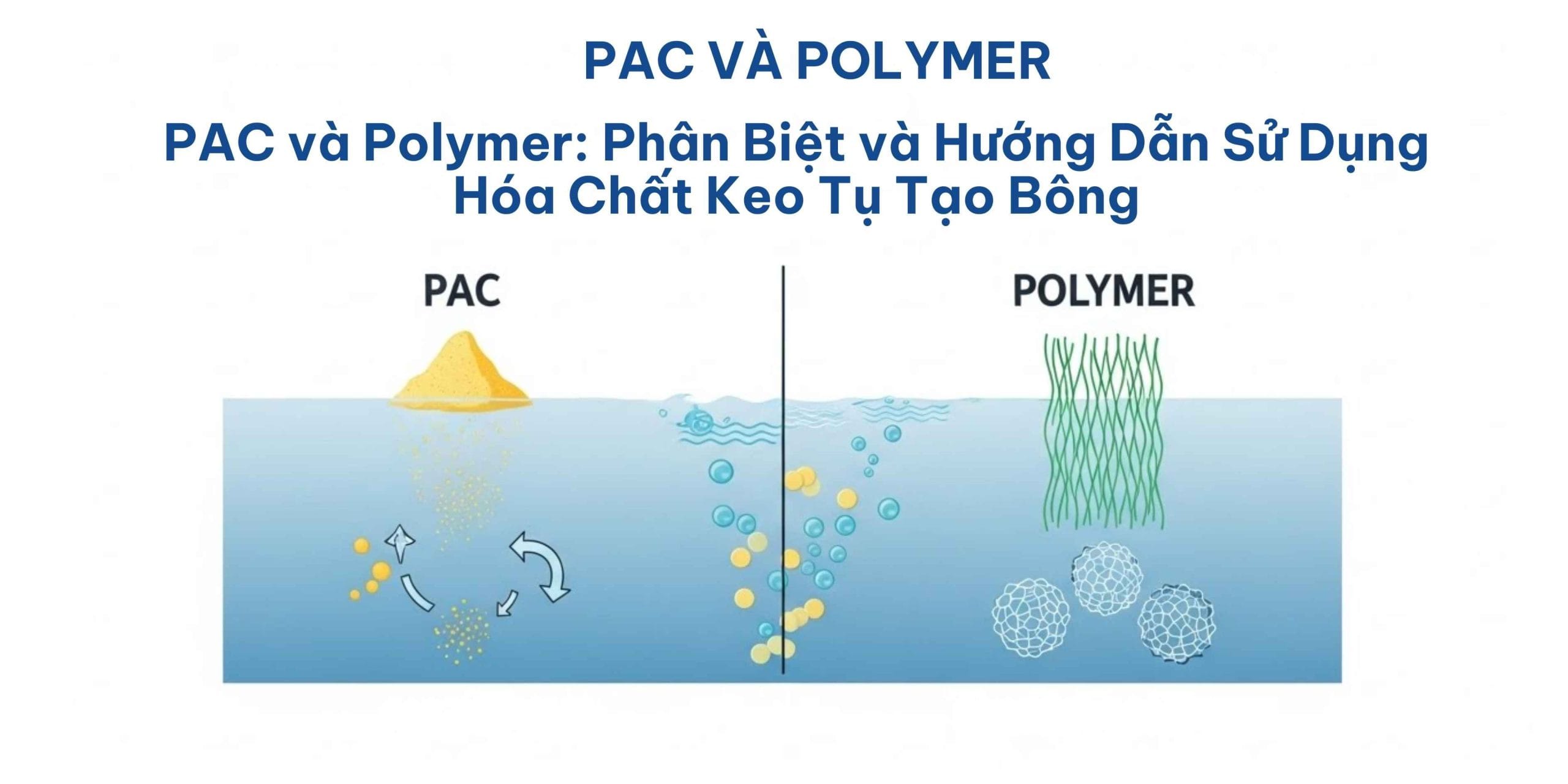 polymer và pac