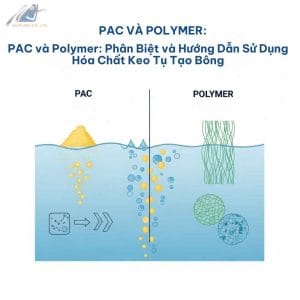 Pac vá Polymer