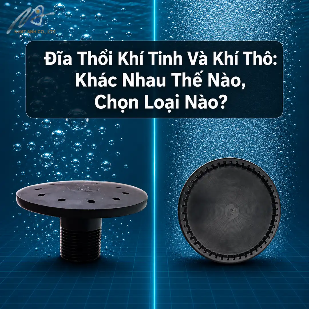 Đĩa Thổi Khí Tinh Và Khí Thô: Khác Nhau Thế Nào, Chọn Loại Nào?